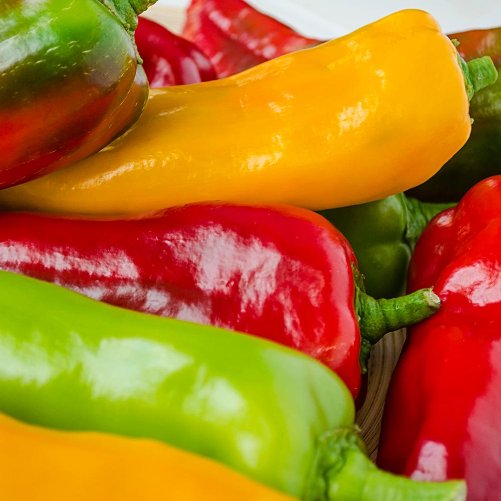 Gurney�s 2 in. Pot Sweet Pepper Double Delight Hybrid