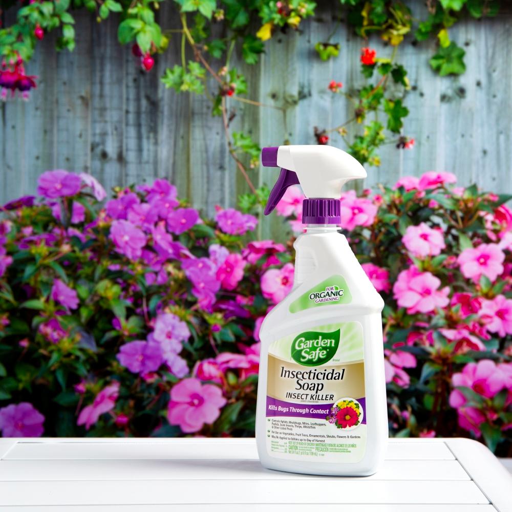 Garden Safe 24 Fl Oz Ready To Use Insecticidal Soap Hg 10424x 8 The Home Depot