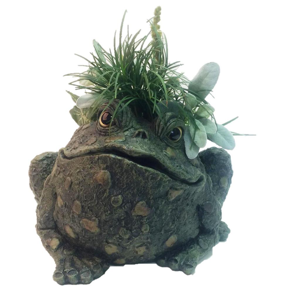 Toad Hollow 10 1 2 In Planter Garden Frog Statue Holds 6 Pot Toad Hollow 10 1 2 In Planter Garden Frog Statue Holds 6 Pot