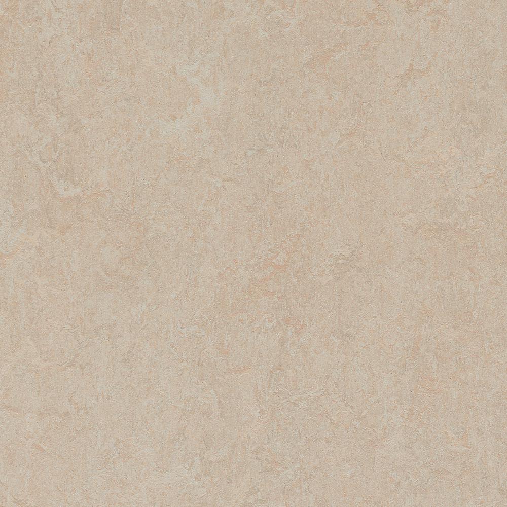 Marmoleum Click Cinch Loc Silver Birch 9.8 mm Thick x 11.81 in. Wide x