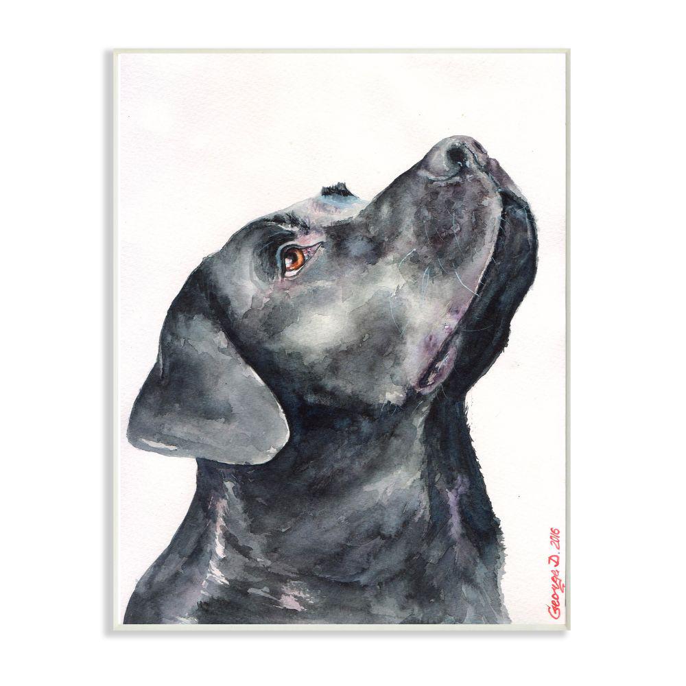 Stupell Industries 12 In X 18 In Black Labrador Dog Pet By