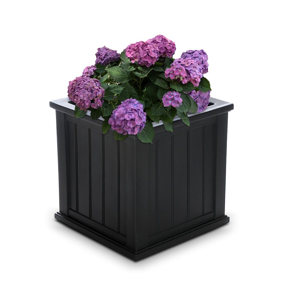 Mayne Self Watering Cape Cod 20 In Square Black Plastic Planter