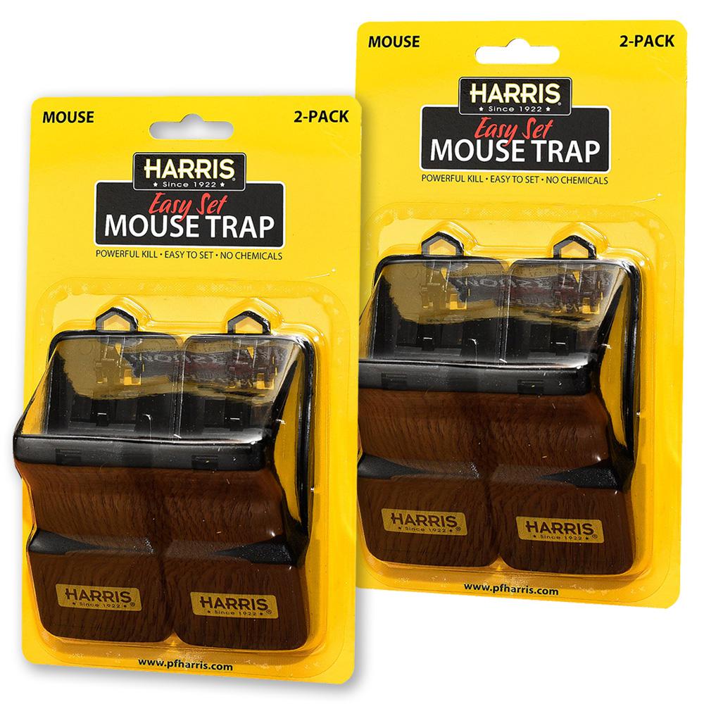 Does Home Depot Have Mouse Traps