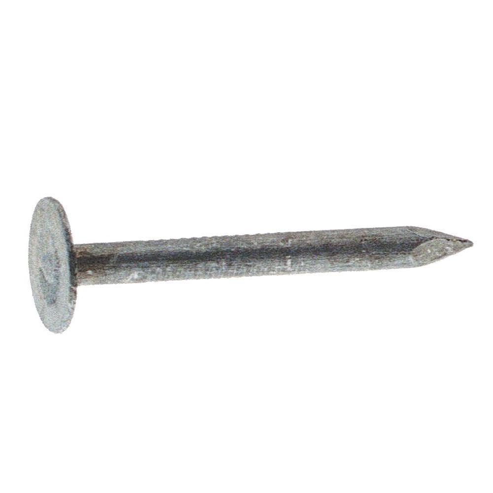 GripRite 11 x 13/4 in. ElectroGalvanized Steel Roofing Nails (1 lb.Pack)134EGRFG1 The