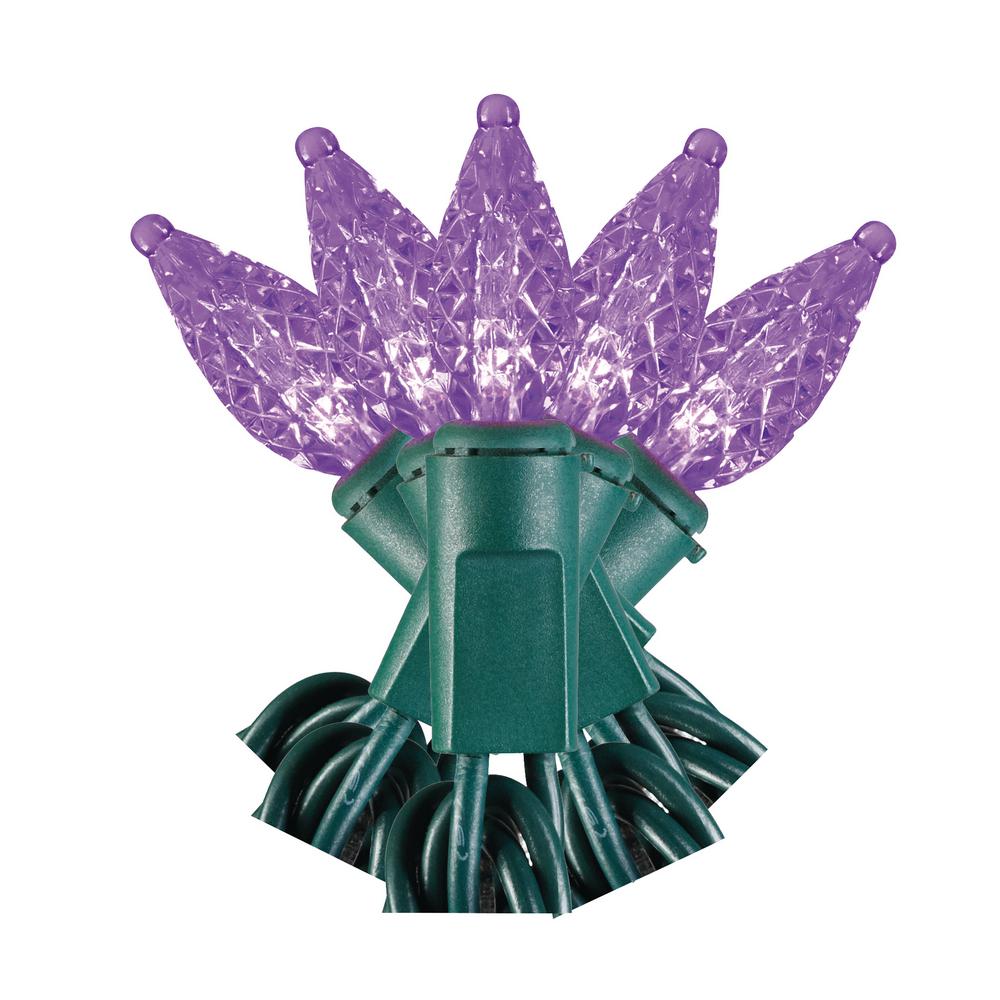 Purple Indoor Outdoor Lights Decorations 50 Light Purple Led Faceted C3 Super Bright Constant On