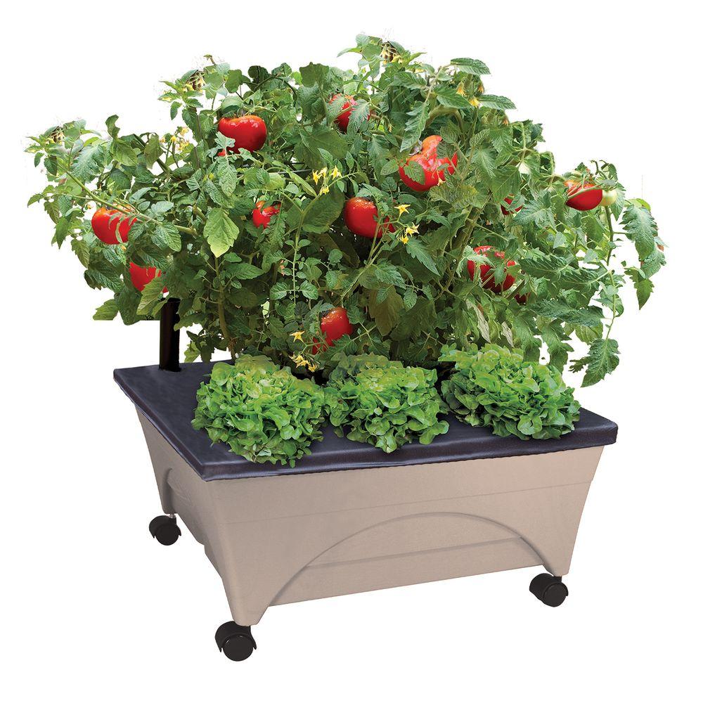 CITY PICKERS 24.5 in. x 20.5 in. Patio Raised Garden Bed Grow Box Kit