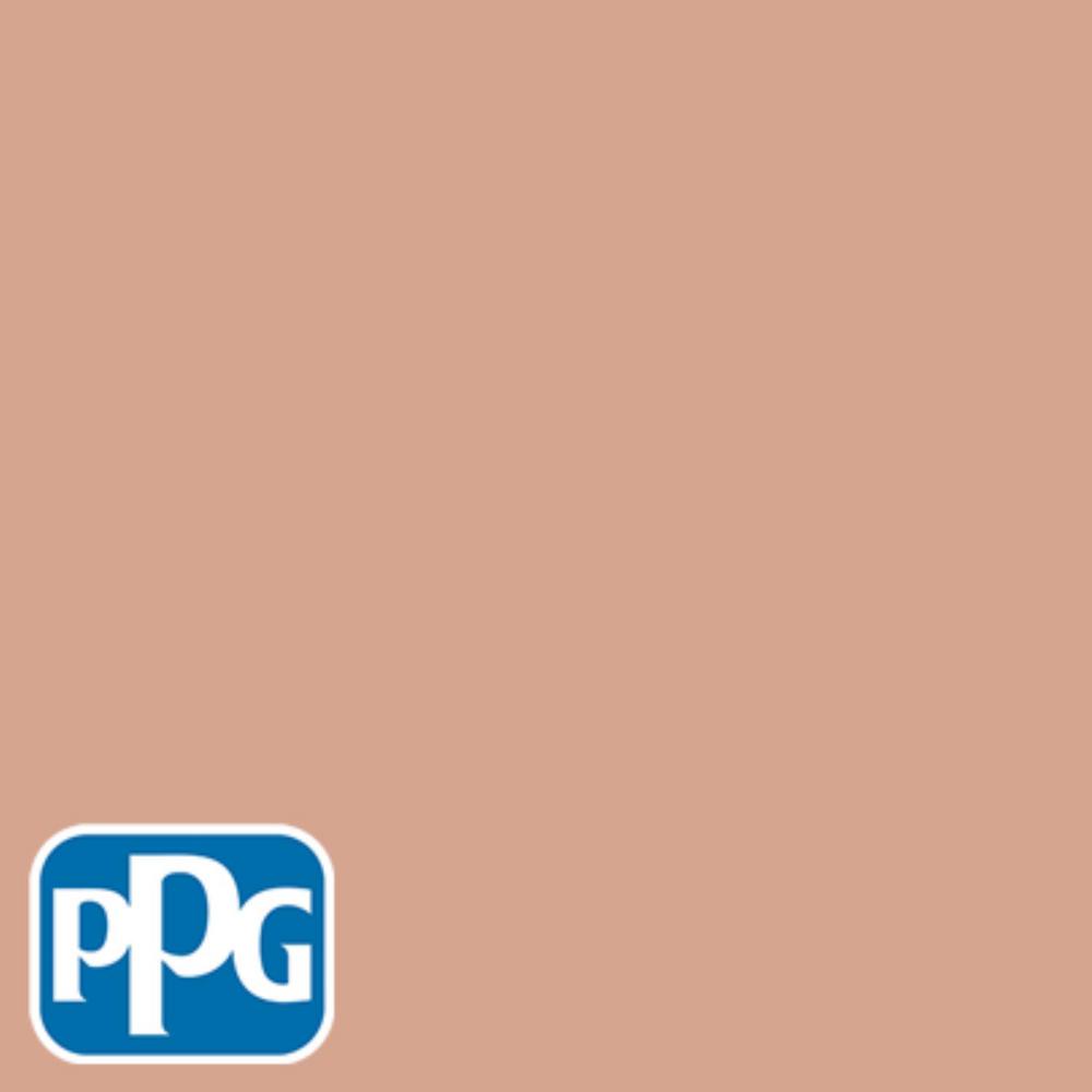 Ppg Timeless 8 Oz Hdppgo11 Pompeii Clay Eggs Interior Exterior Hdppgo11 Pompeii Clay Eggs Interior Exterior Paint Sample