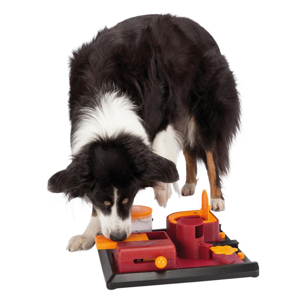 home depot dog toys