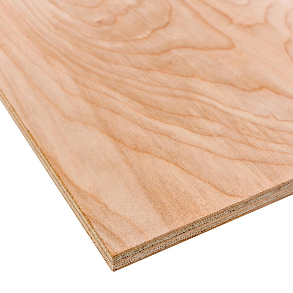 Birch Plywood Common 3 4 In X 2 Ft X 4 Ft Actual 0 728 In