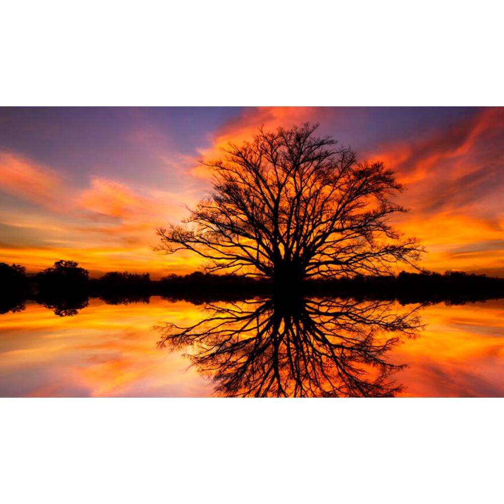 Yosemite Home Decor 47 In X 32 Balance Tempered Glass Wall