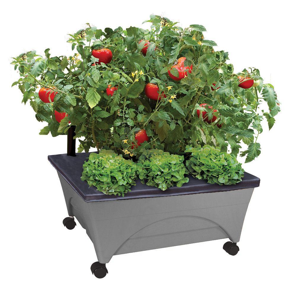 Emsco Group City Picker Raised Bed Grow Box – Self Watering and Improved Aeration – Mobile Unit with Casters - Slate (B0798W7X4Y)