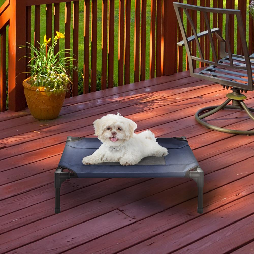 elevated dog bed small