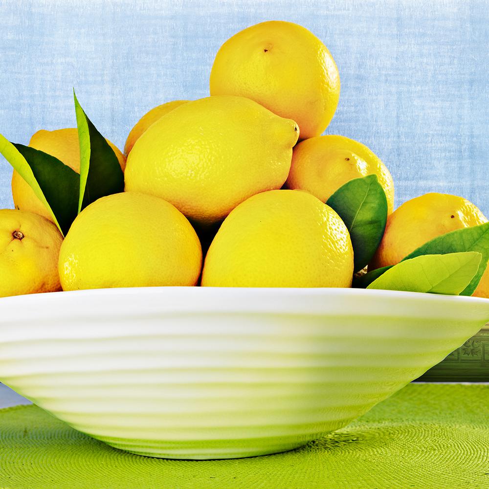 Van Zyverden Lemon Citrus Tree Eureka 1 Plant 83904 The Home Depot - Lemon Patio Tree Van Zyverden Van Zyverden Lemon Citrus Tree Eureka 1 Plant 83904 The Home Depot - Lemon Patio Tree Van Zyverden