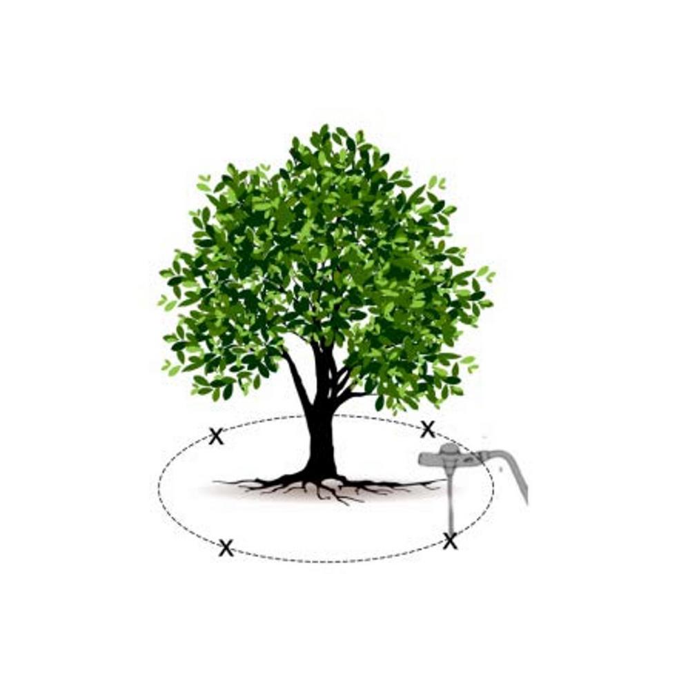 Ross 1 5 Lb Root Feeder Fertilizer Refills For Trees 36 Pack