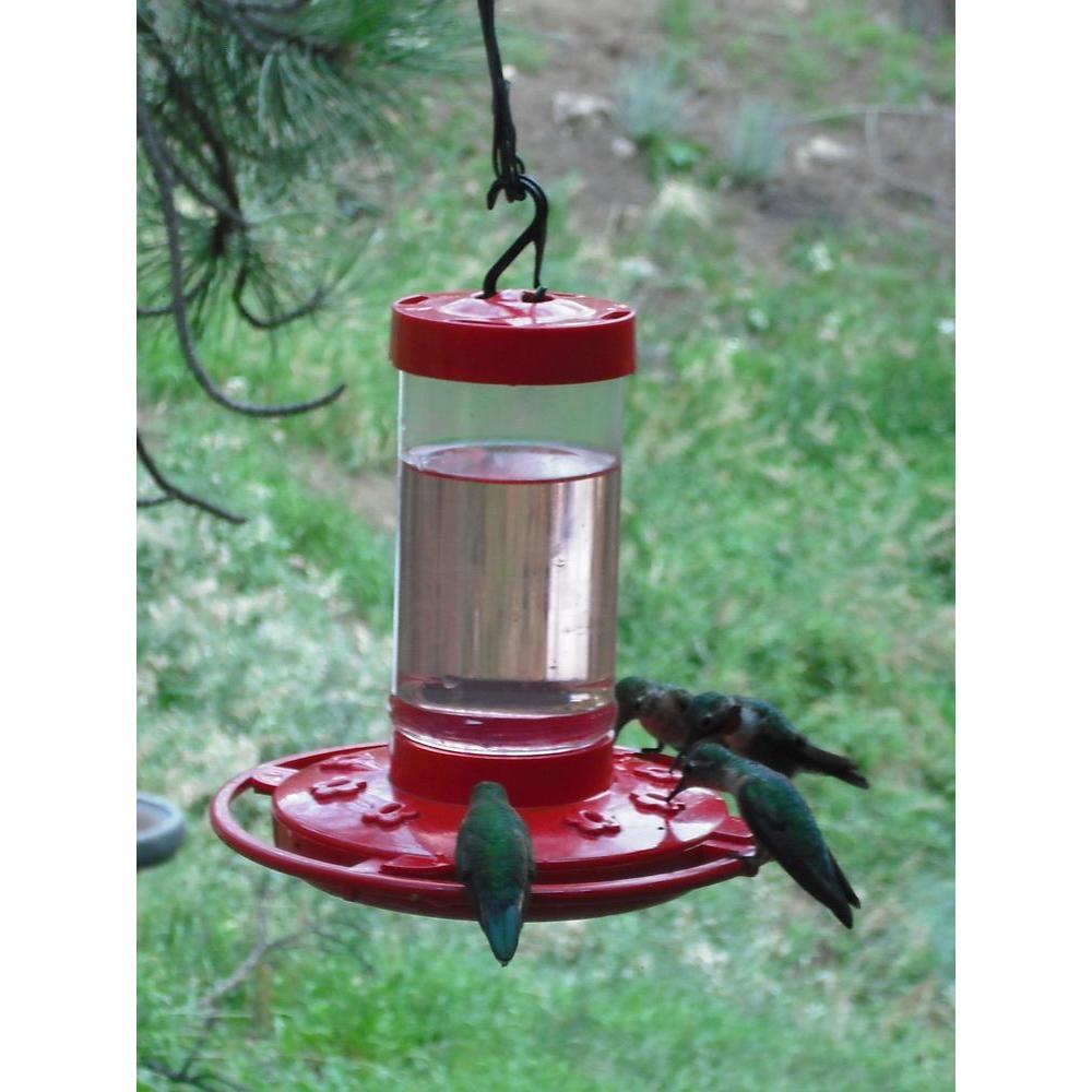 First Nature 16 Oz Hummingbird Feeder 993051 546 The Home Depot