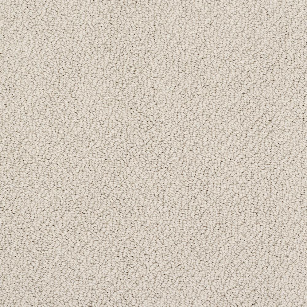 Lifeproof Dublin Color Barista Loop 12 ft. CarpetHDF0099151 The