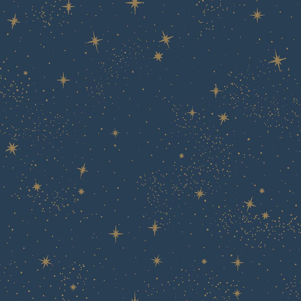 Roommates Upon A Star Vinyl Peelable Wallpaper Covers 28 18 Sq Ft Rmkwp The Home Depot