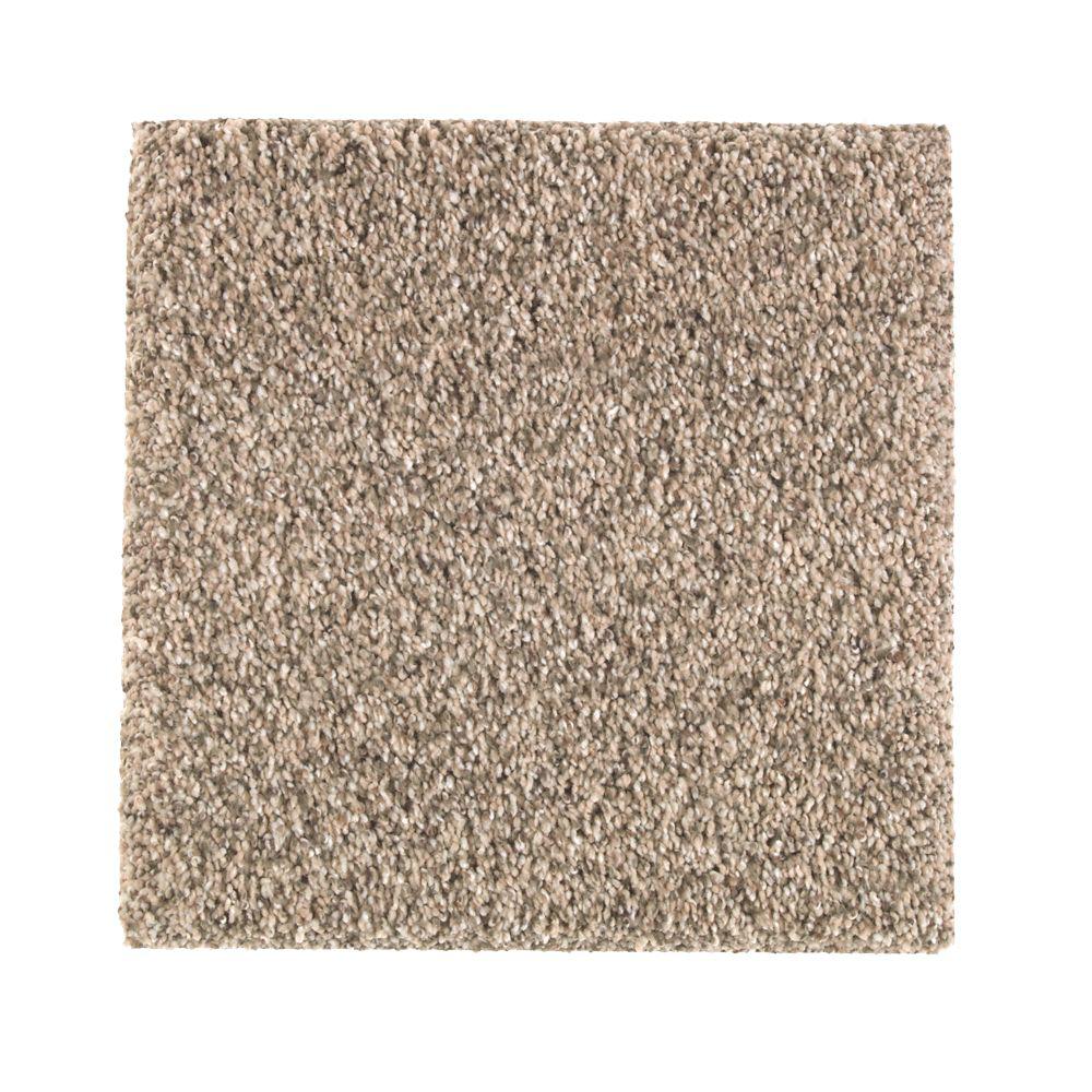 Petproof Carpet Flooring The Home Depot Carpet Sample Maisie Ii Color Scotch Tweed Texture 8 In X