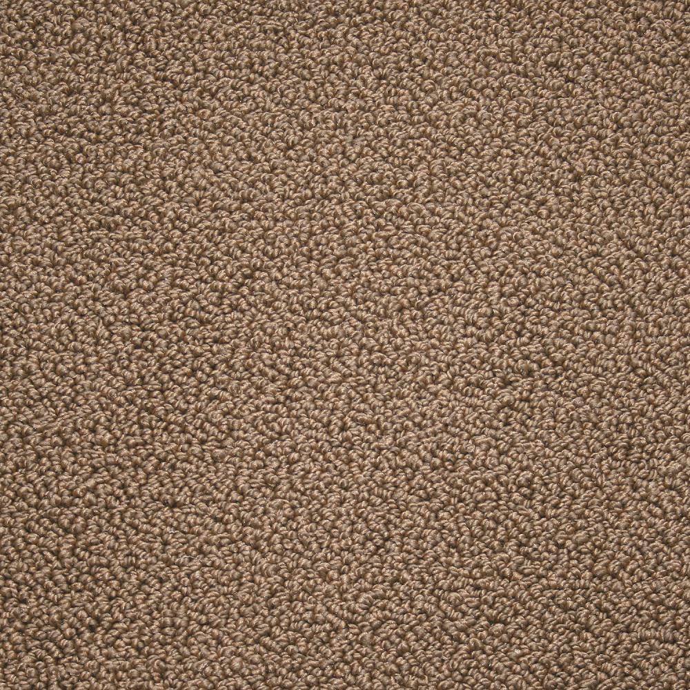 KRAUS Carpet Sample - Tranquility - Color Desert Tan Texture 8 in. x 8 ...