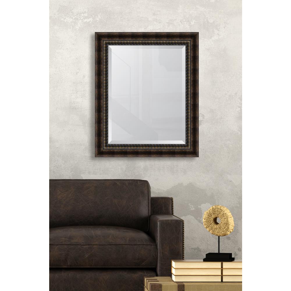 Melissa Van Hise 29.5 in. x 35.5 in. Framed Black Bronze Acid Wash MirrorEC7852228 The Home Depot