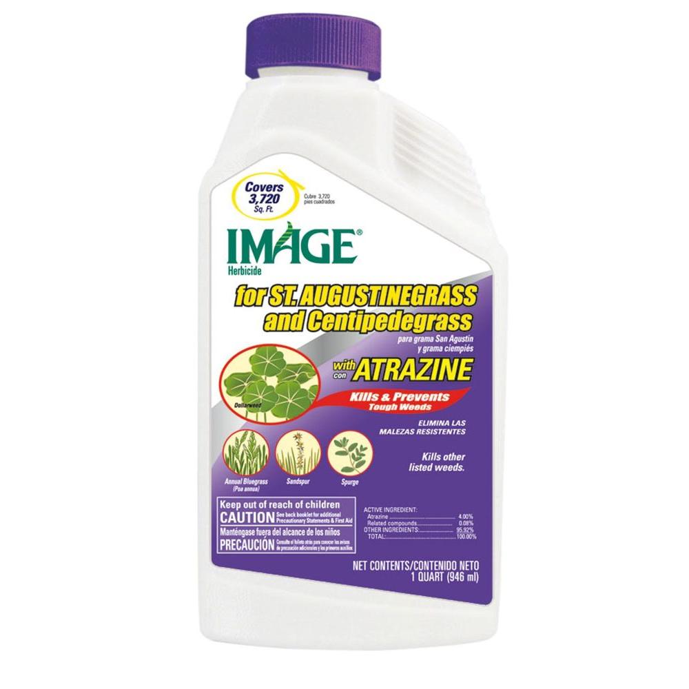 IMAGE 32 oz. Concentrate Herbicide for St. Augustine Grass and