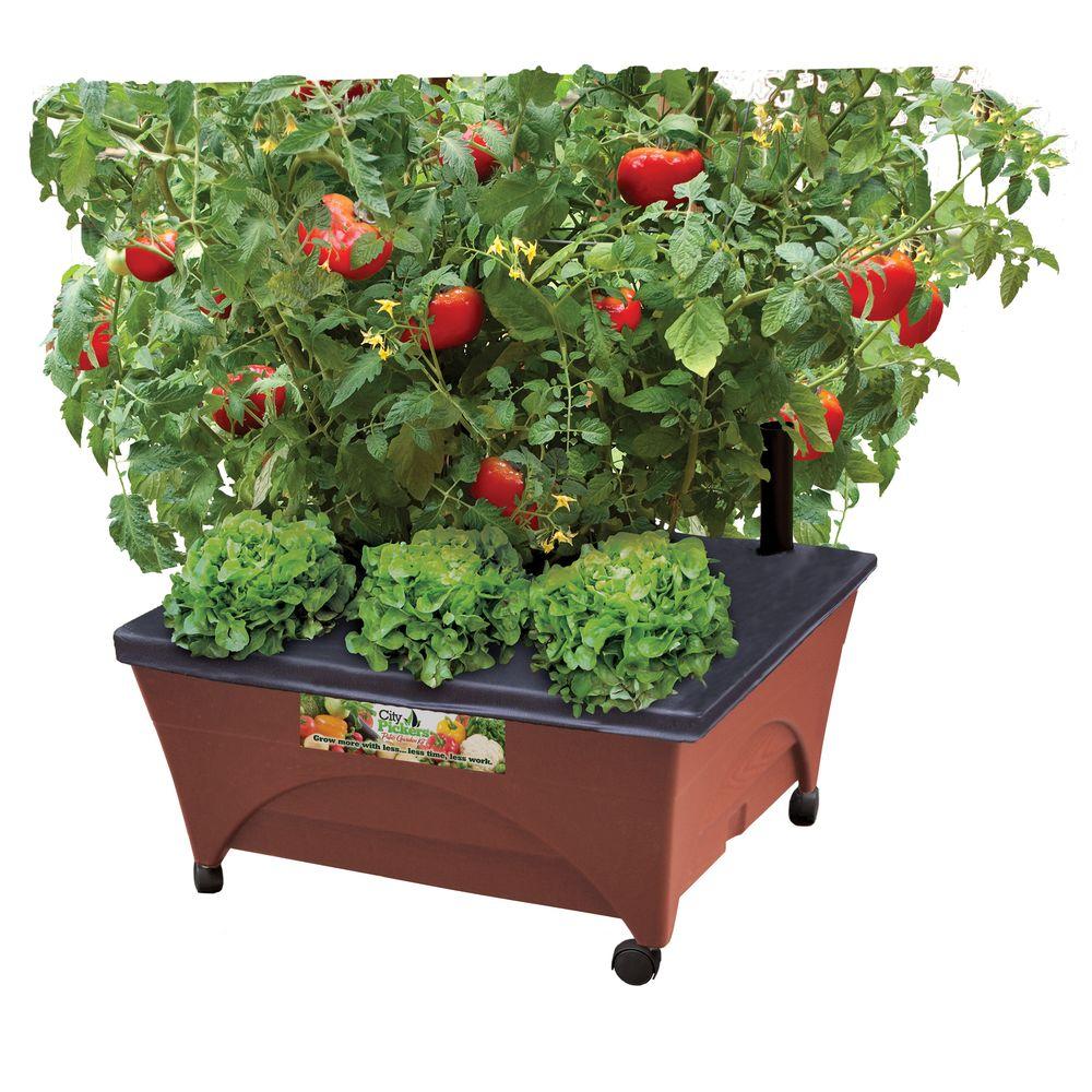 City Pickers 24 5 In X 20 5 In Patio Raised Garden Bed Grow Box Kit With Watering System And Casters In Terra Cotta 2340d The Home Depot
