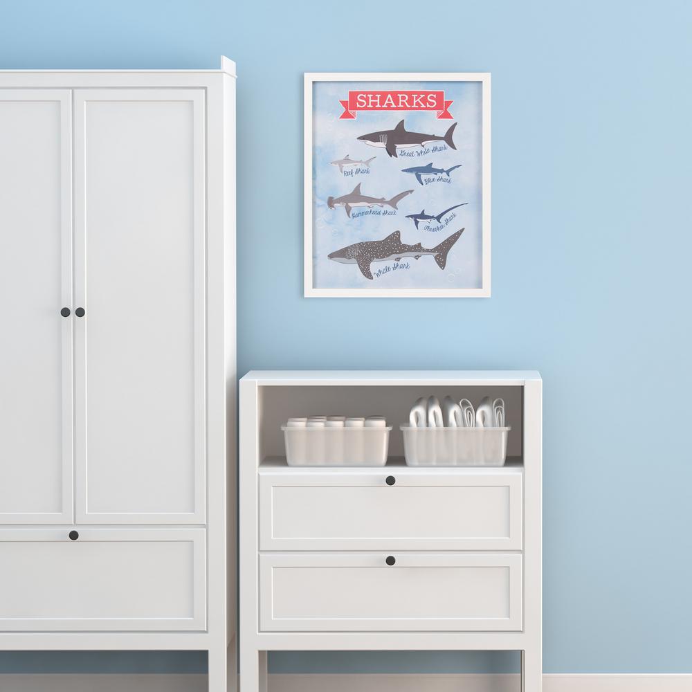 Pinnacle 22 In X 26 Types Of Sharks Shark Chart Framed Wall - Framed Shark Pictures Pinnacle 22 In X 26 Types Of Sharks Shark Chart Framed Wall - Framed Shark Pictures