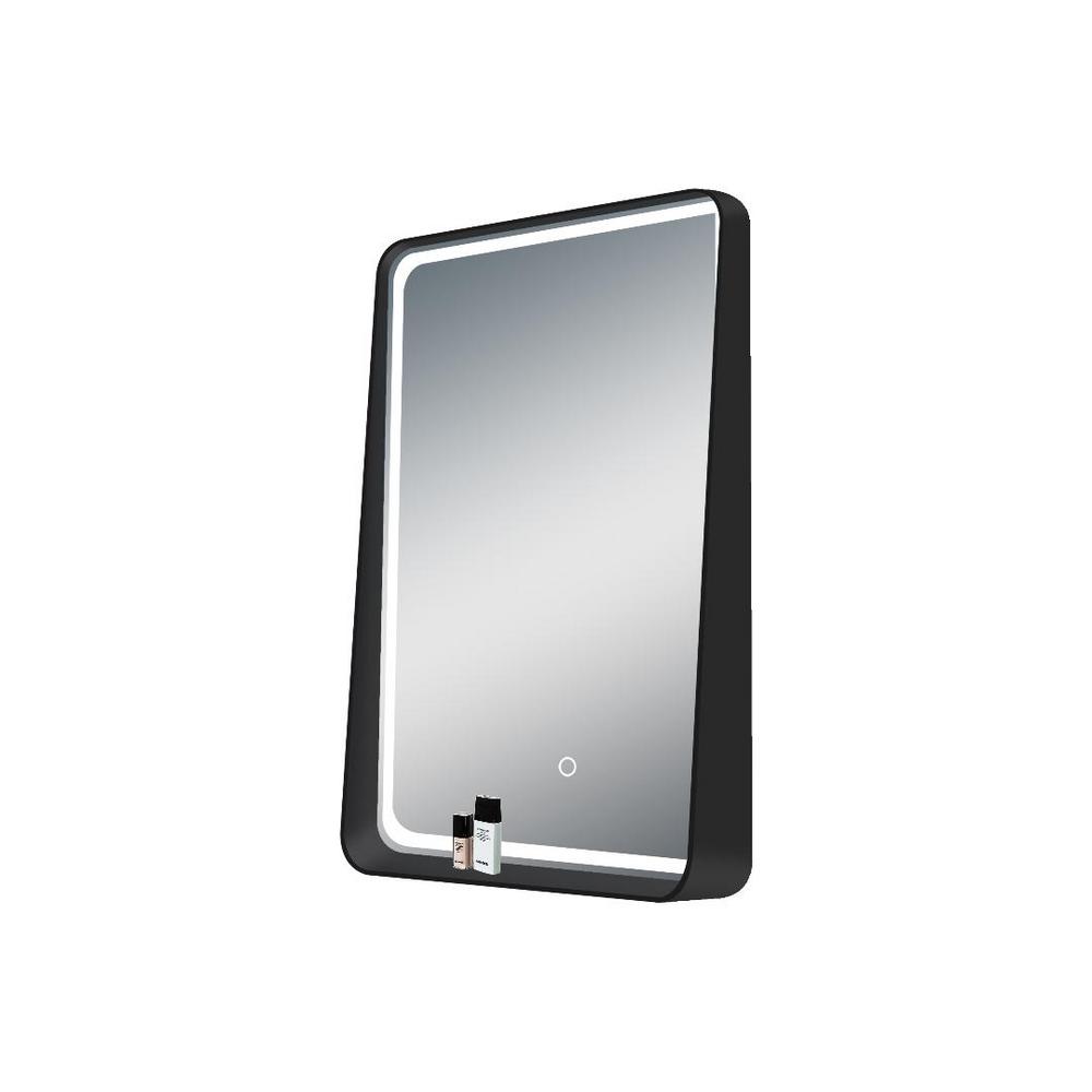Dreamwerks 32 in. x 24 in. LED Lighted and Storage Function Mirror