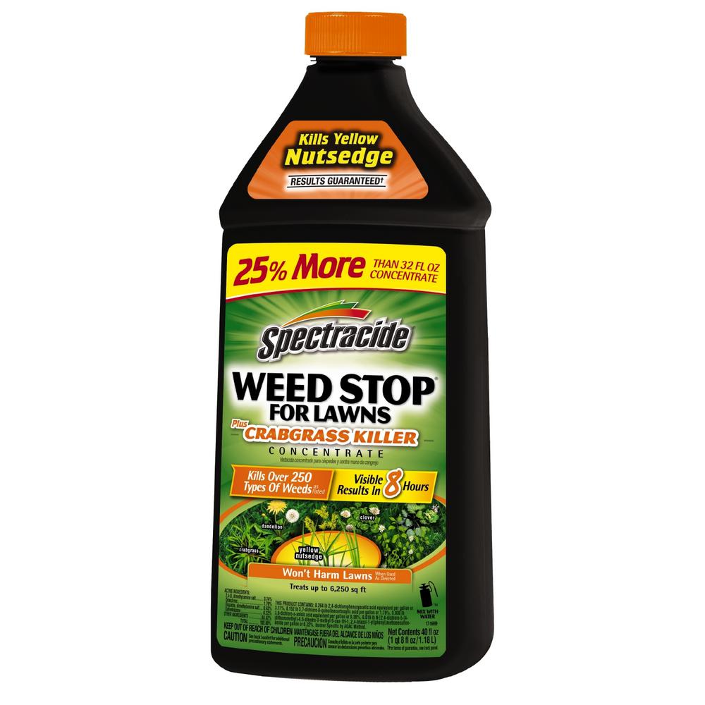 Prostrate Spurge Lawn Weed Killer Weed Killer The Home Depot 6973