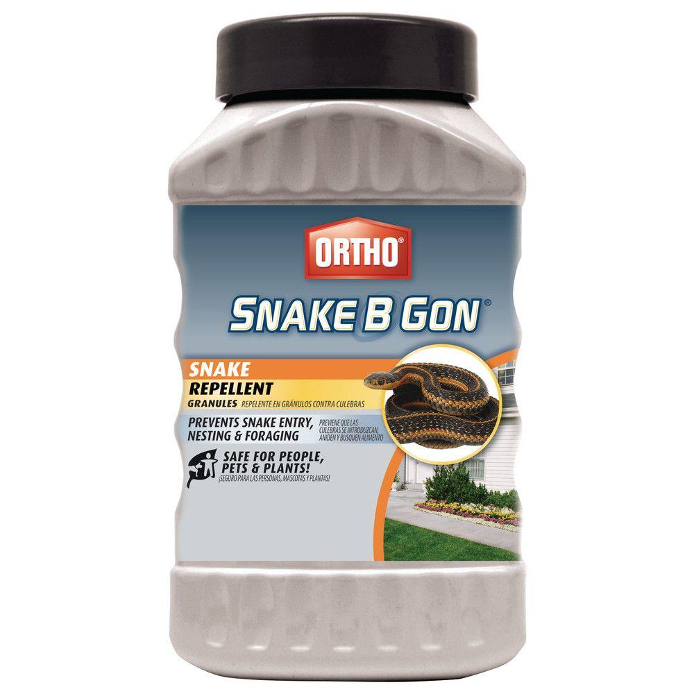 The ortho group bugbgon