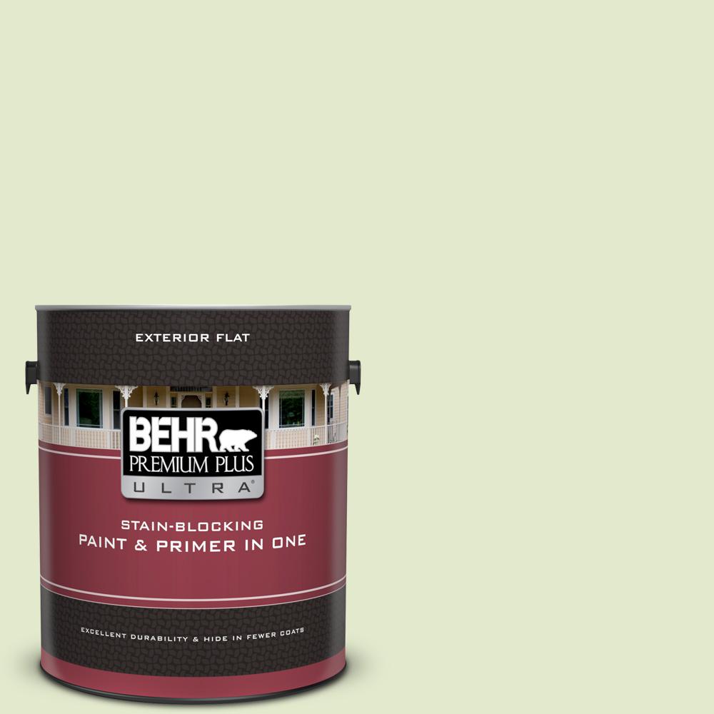 Behr Premium Plus Ultra 1 Gal P370 2 Praying Mantis Flat Exterior P370 2 Praying Mantis Flat Exterior Paint