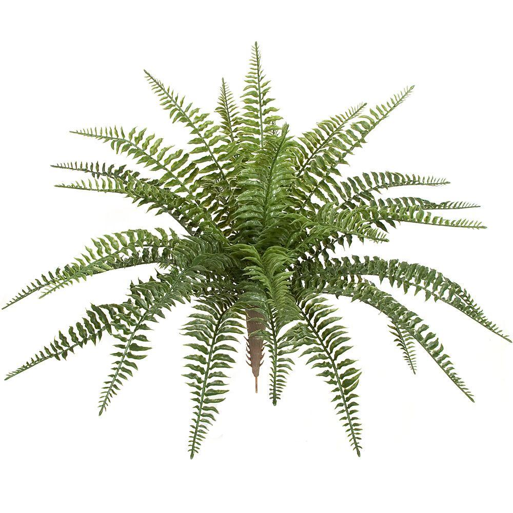 23 In X 30 Plastic Outdoor Small Boston Fern Ef 130 The Home Plastic Outdoor Small Boston Fern Ef 130 The Home Depot