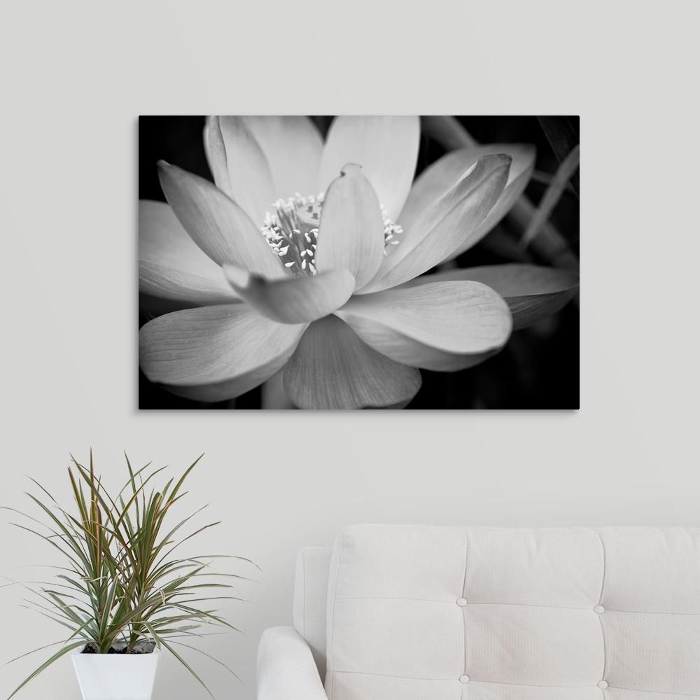 GreatBigCanvas Black And White Flower II By Dream On Photography greatbigcanvas-black-and-white-flower-ii-by-dream-on-photography