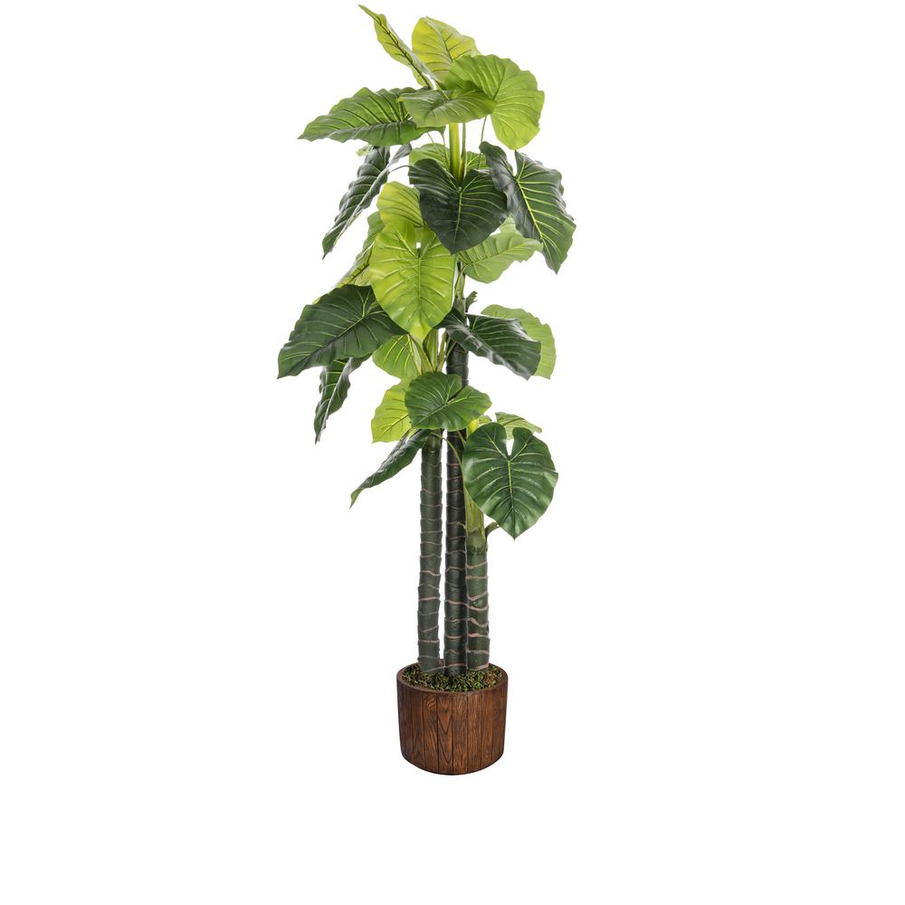 Laura Ashley 76 8 In Tall Indoor Outdoor Elephant Ear Plant
