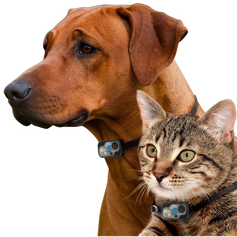 automatic doggy door for sliding glass doors