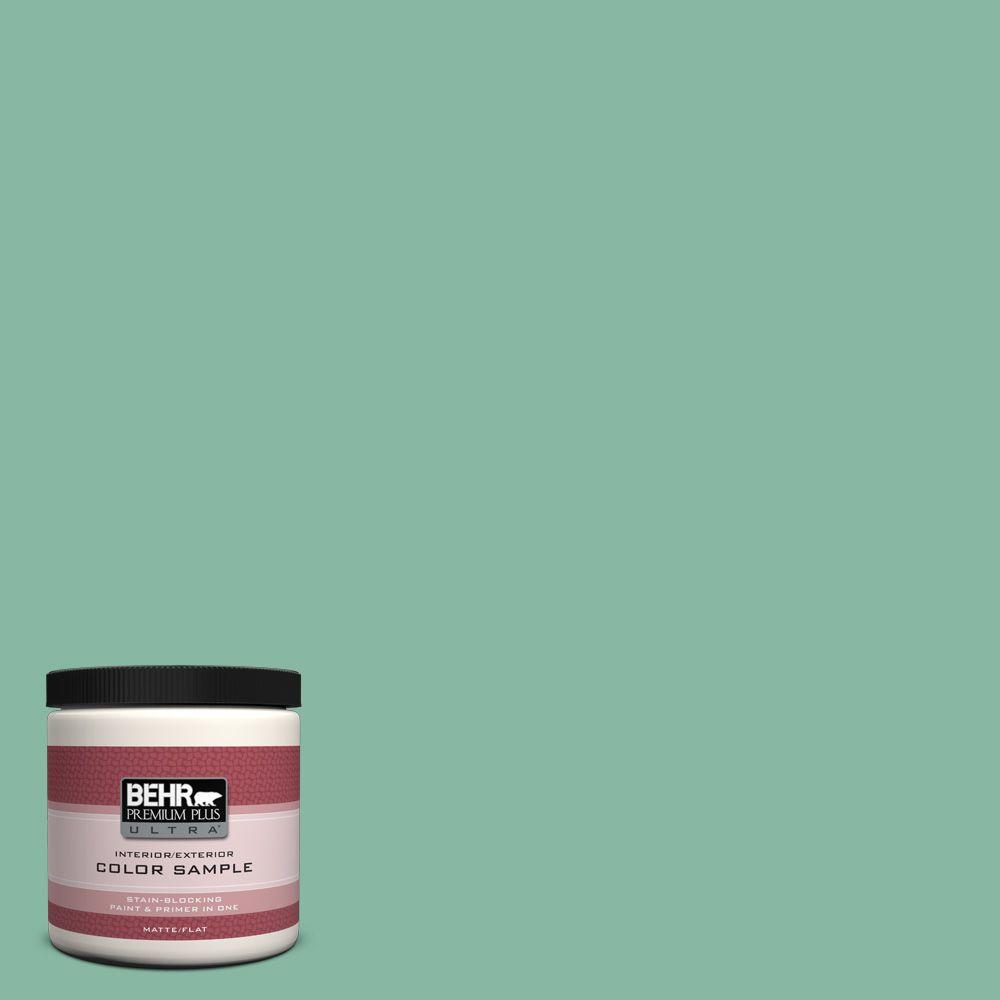 Behr Premium Plus Ultra 8 Oz 480d 4 Indian Ocean Matte Interior 480d 4 Indian Ocean Matte Interior Exterior Paint And Primer In One Sample