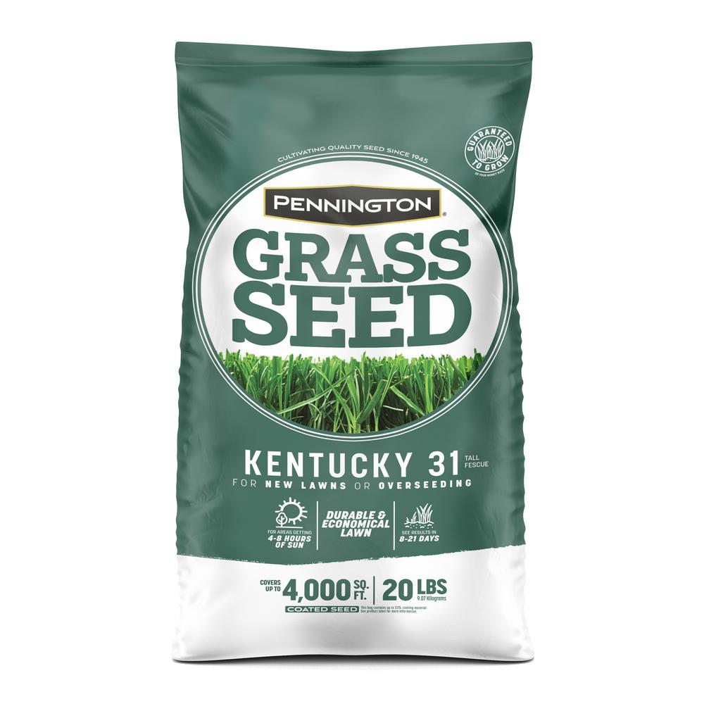 Pennington Kentucky 31 Tall Fescue, KY-31 Grass Seeds for Lawn; 20 lb Grass Seed Bag