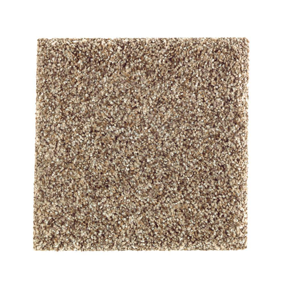Petproof Sachet Ii Color Embraceable Texture 12 Ft Carpet 0645d Petproof Sachet Ii Color Embraceable Texture 12 Ft Carpet