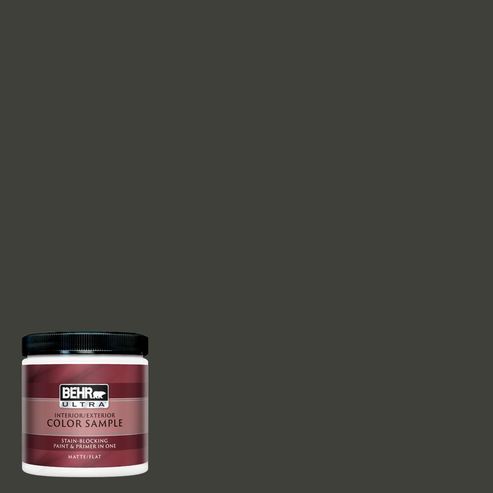 Behr Ultra 8 Oz Ppu18 20 Broadway Matte Interior Exterior Paint And Primer In One Sample