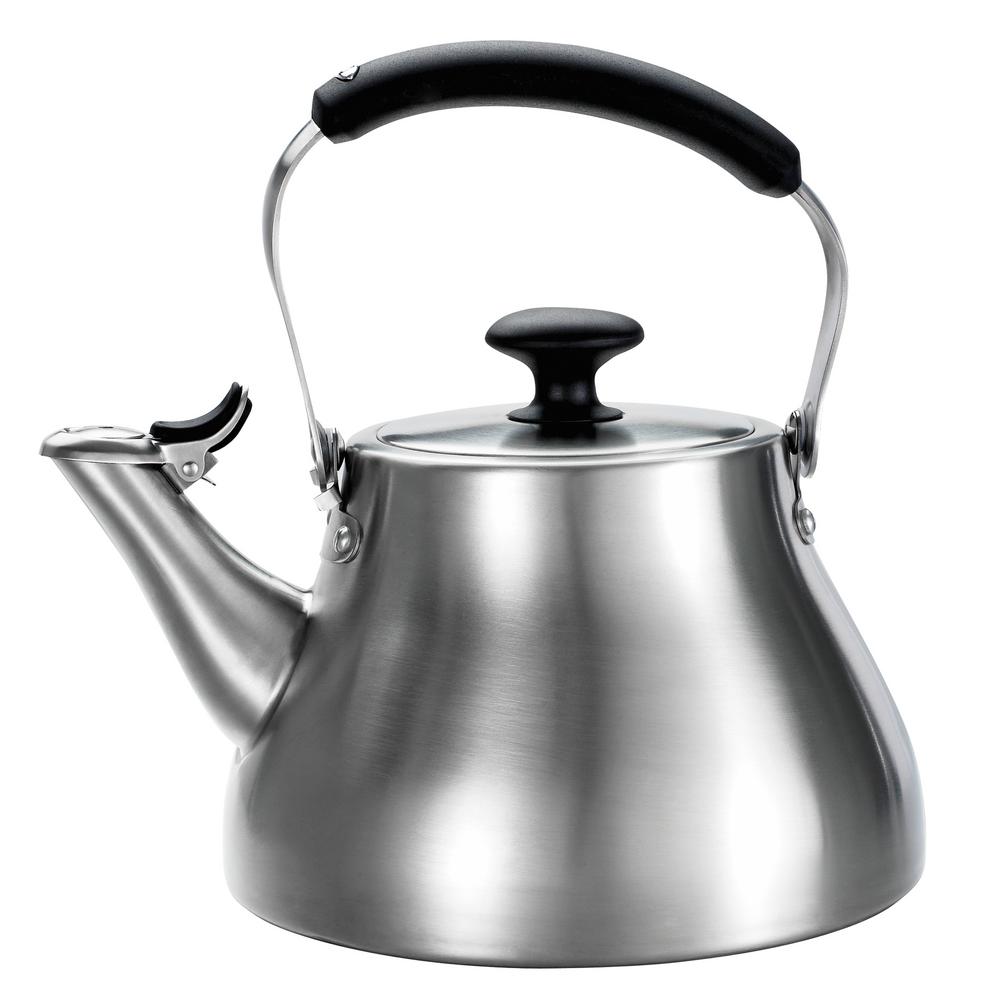 stainless tea kettle