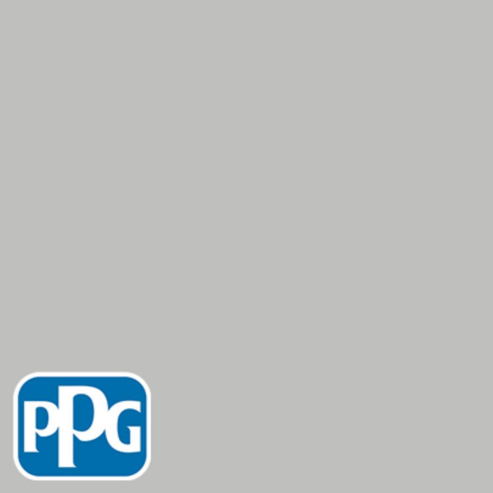 Ppg Timeless 8 Oz Hdppgcn62 Pebble Grey Flat Interior Exterior Hdppgcn62 Pebble Grey Flat Interior Exterior Paint Sample