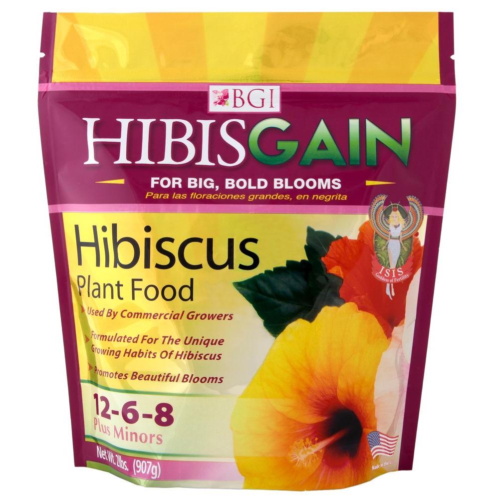 best-fertilizer-for-hibiscus-plant-homemade-fertilizer-for-hibiscus