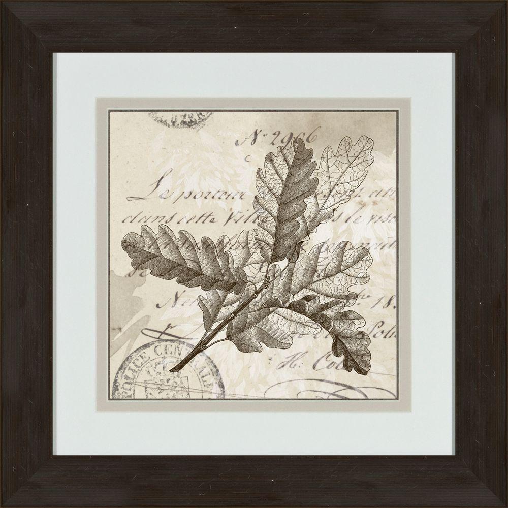 17 in. x 17 in. "Sophisticated Botany D" Framed Wall Art-1-10412D - The Home Depot