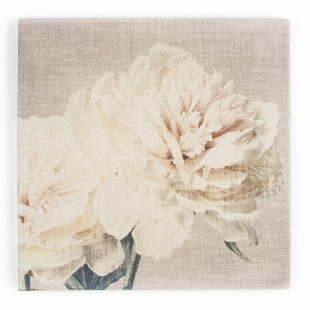 Graham and Brown 24 in. x 24 in. Cream Petals by Graham ...