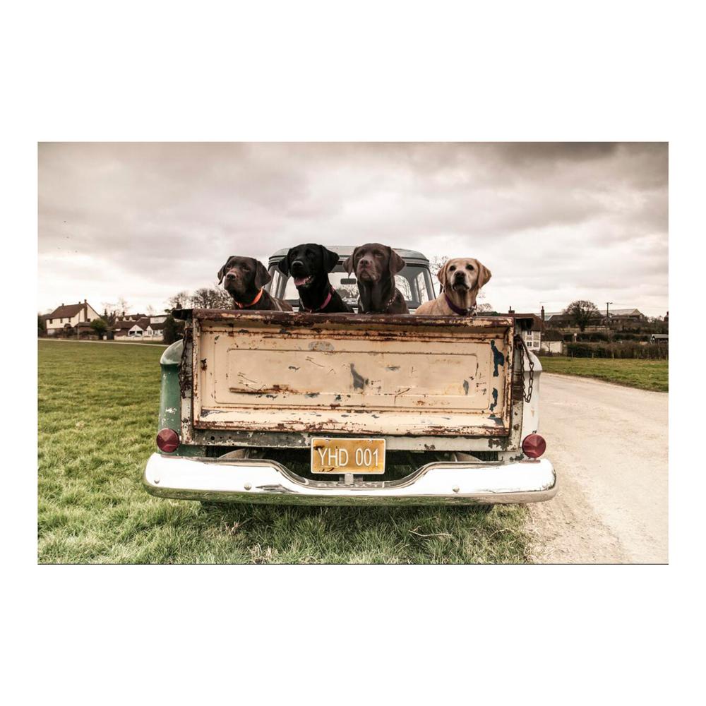 Yosemite Home Decor 47 in. x 32 in. "Old Friends" Tempered Glass Wall