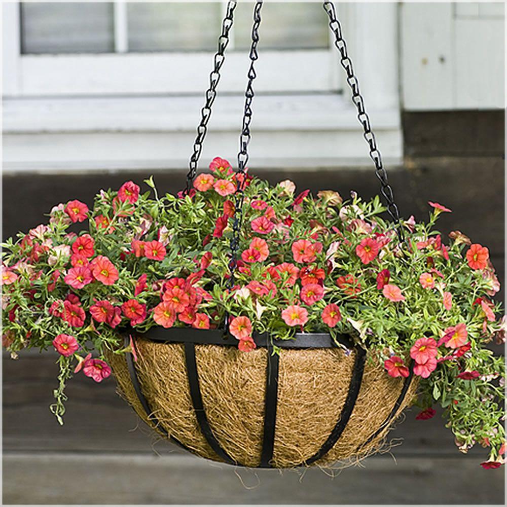 Vigoro - Hanging Planters - Planters - The Home Depot