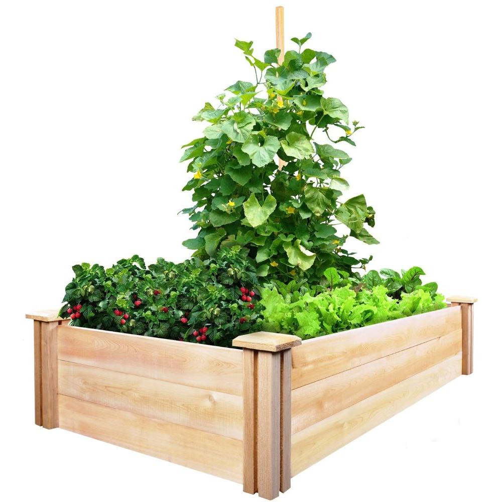 CITY PICKERS 24.5 in. x 20.5 in. Patio Raised Garden Bed Grow Box Kit