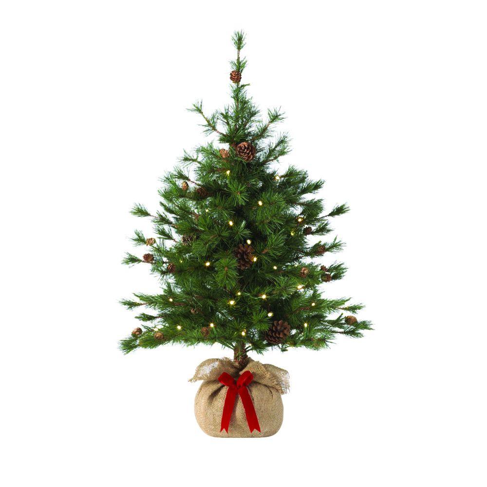 martha stewart living 36 in pre lit led bristle cone pine martha stewart living 36 in pre lit led bristle cone pine