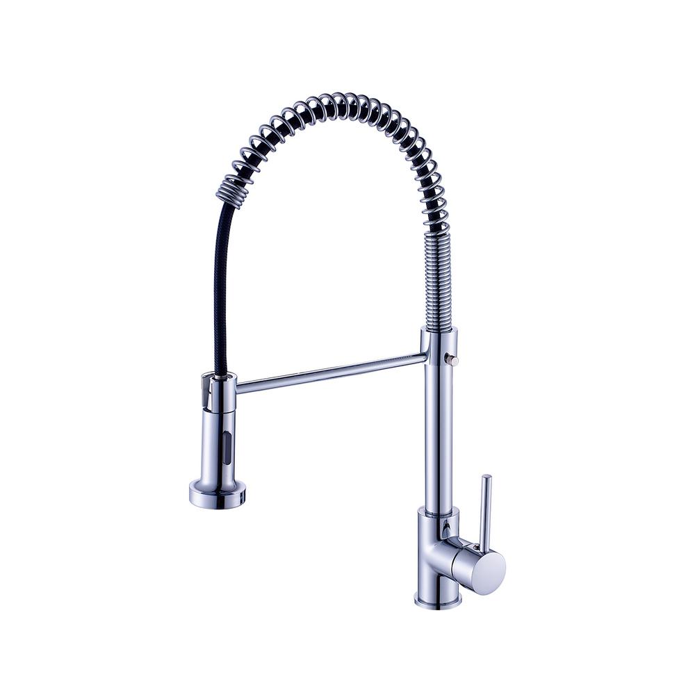 Boyel Living Single Handle Faucet Pull Down Sprayer Kitchen Faucet