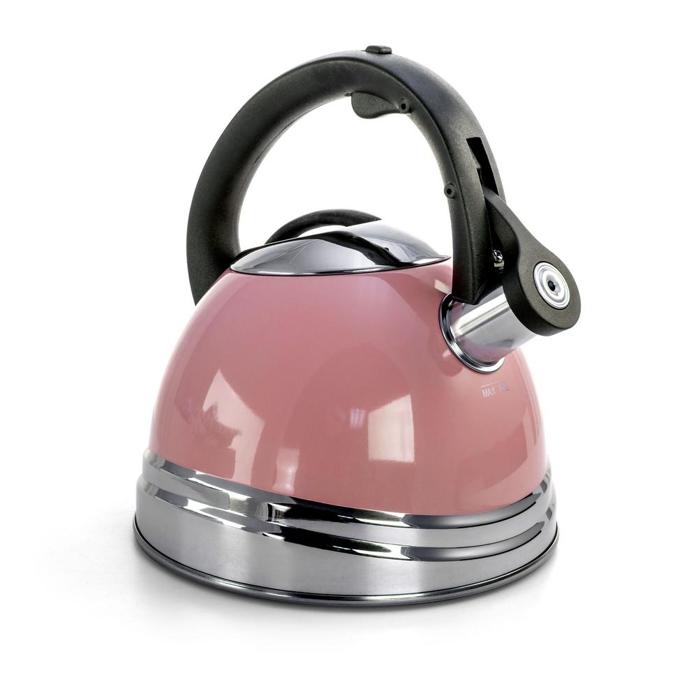 electric whistling tea kettle